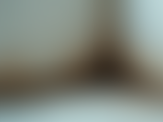 Mold Risk Awareness: The Health Risks of Mold in Your Home