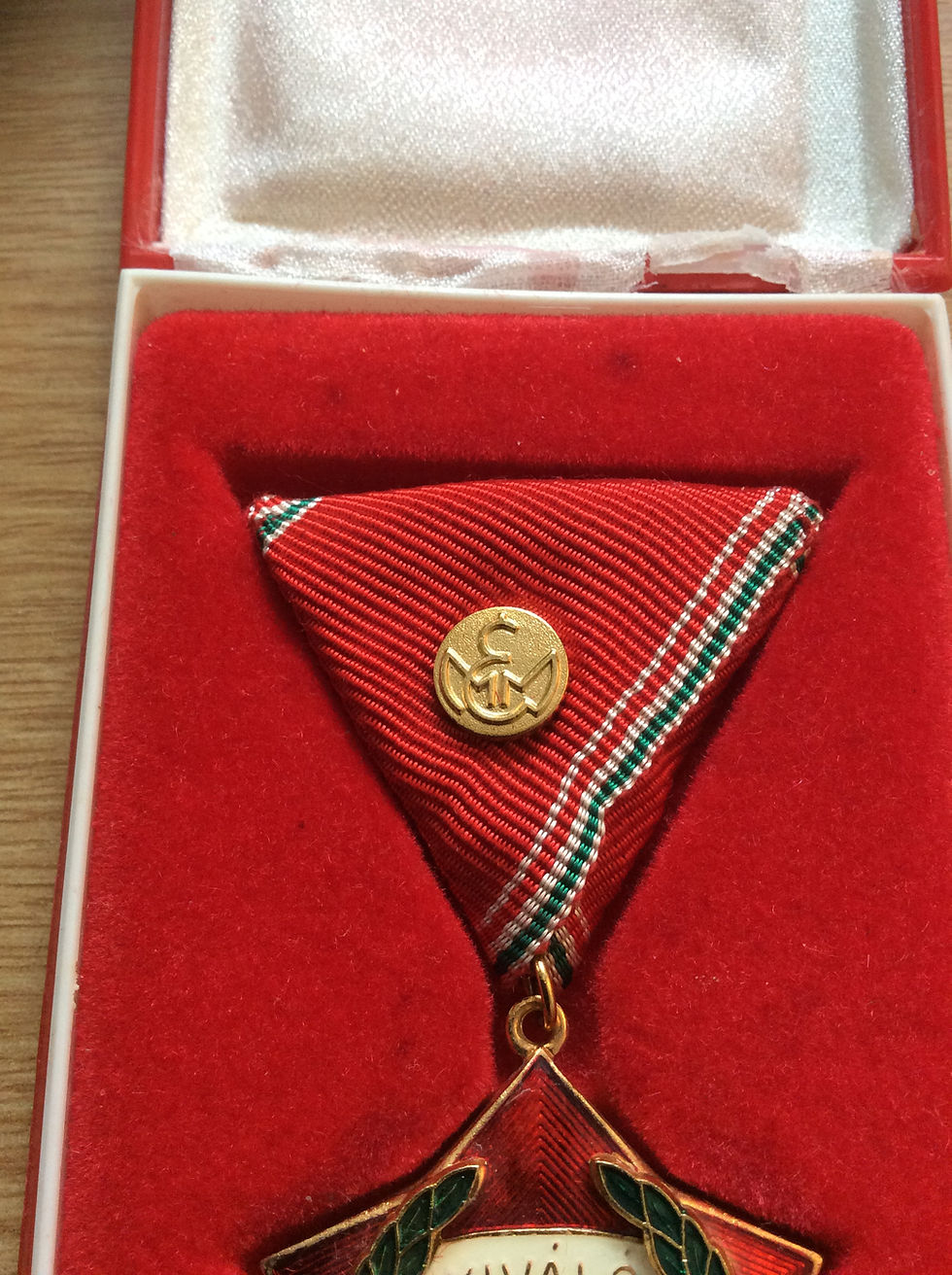 Thumbnail: HUNGARY MEDAL FOR EXCELLENT WORKER FOR PERFECT LABOR PROJECT SOVIET