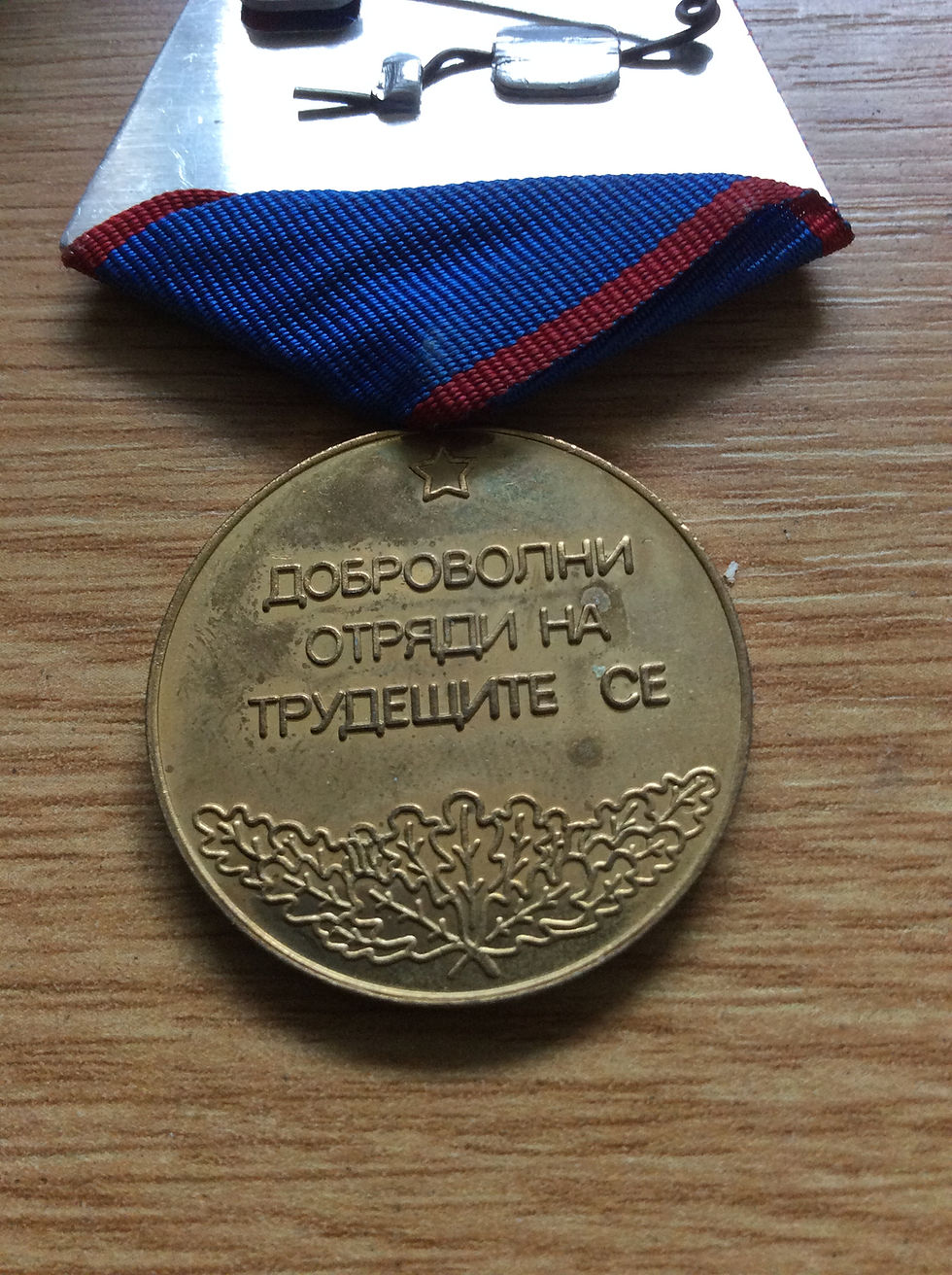 Thumbnail: Bulgarian Merits Medal for the Volunteer Worker Corps