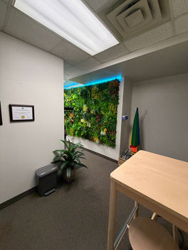 Entrance with wall plant