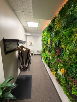 Hallway with wall plant to the offices