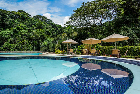 Detox físico e mental, comece o ano renovado