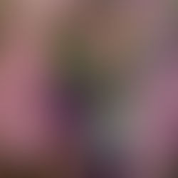 Imperdível exposição de Mariana Palma na Casa Triângulo