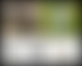 As fragrâncias da marca inglesa Jo Malone chegam ao Rio