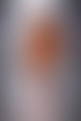 Destaques na SPFW N43