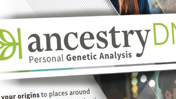 Ancestry, Franca DiNardo, John Miziolek, Branding, Package Design, Marketing, Reset Branding, Graphic Design, Corporate Design, Print Production