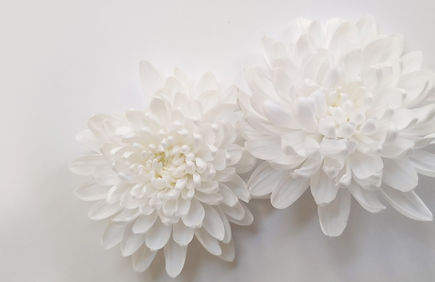 仏事に関すること、何でもご相談ください