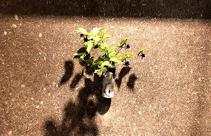 心に残る葬儀・お葬式はお任せ下さい