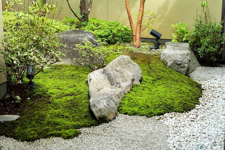 素敵な庭