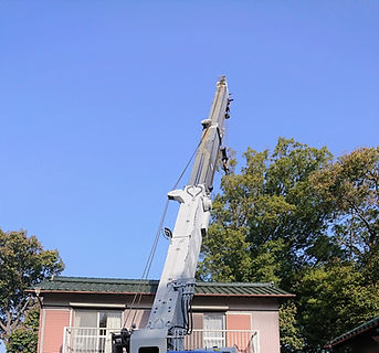 重機による伐採