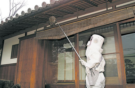 ハチ駆除