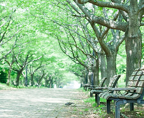 公園のベンチ