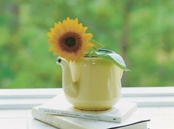 サービスのご案内