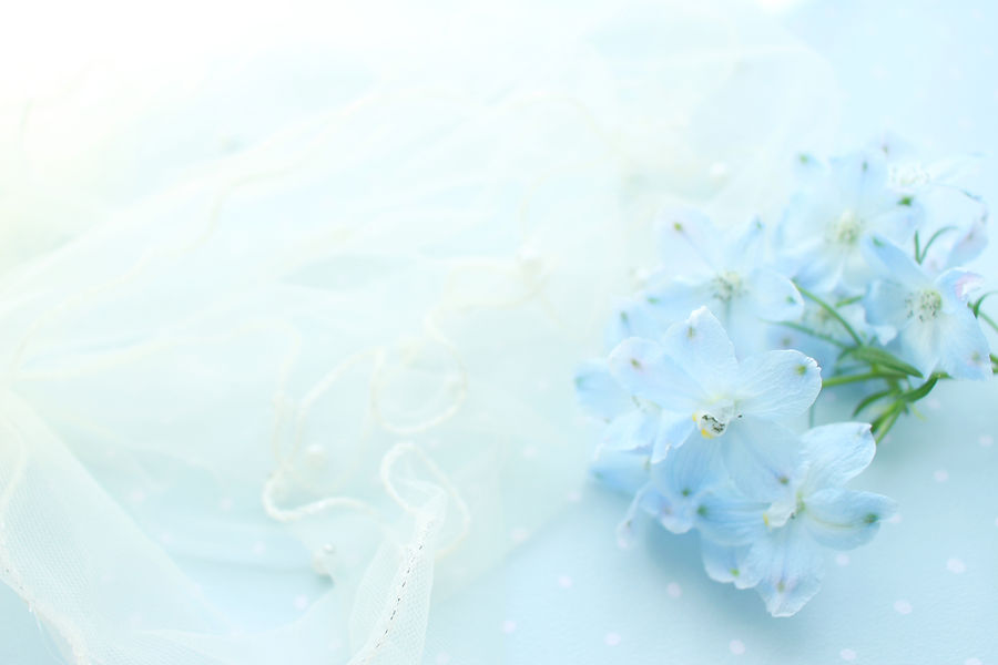 青い花の背景