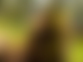 舌鋒(ぜっぽう)