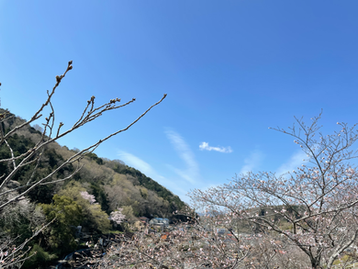 天衣無縫(117)