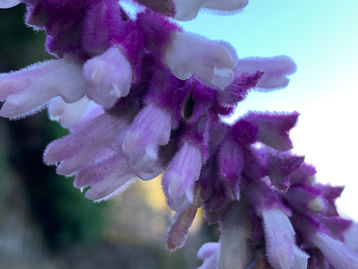 見直ししましょう🎶