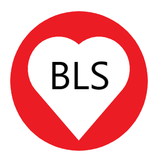 BLS (Basic Life Support) Train the Trainer | GSHS2