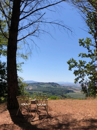 Views to Inspire Peccioli Paint and Palate