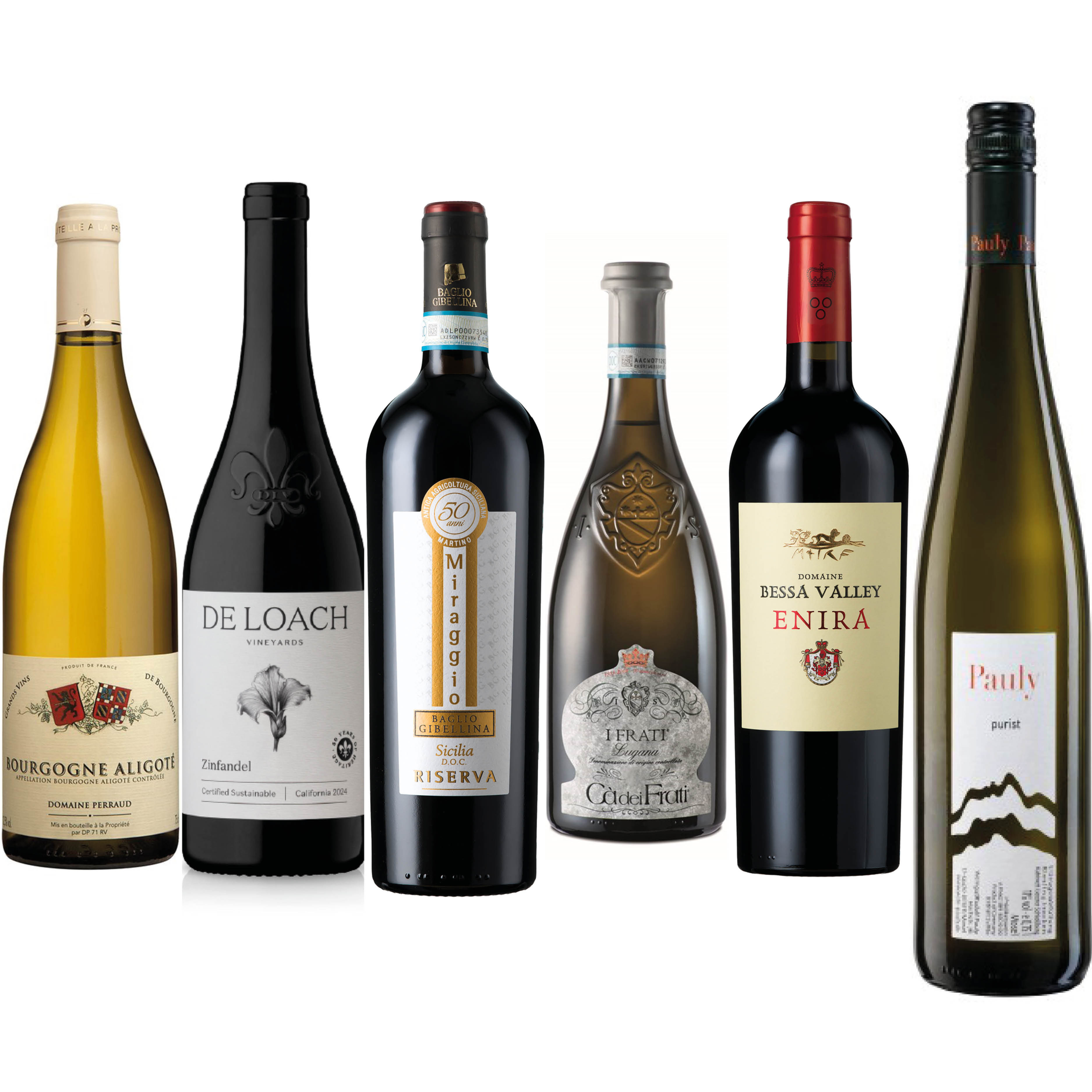 Eclectic Hidden Gems - Mal's Recommended Case of the Month September 26