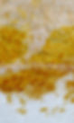 Ph Lenfant C25P3 Soleil entachee_edited.jpg
