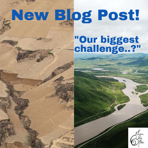 'Our biggest challenge? Lack of imagination’: the scientists turning the desert green