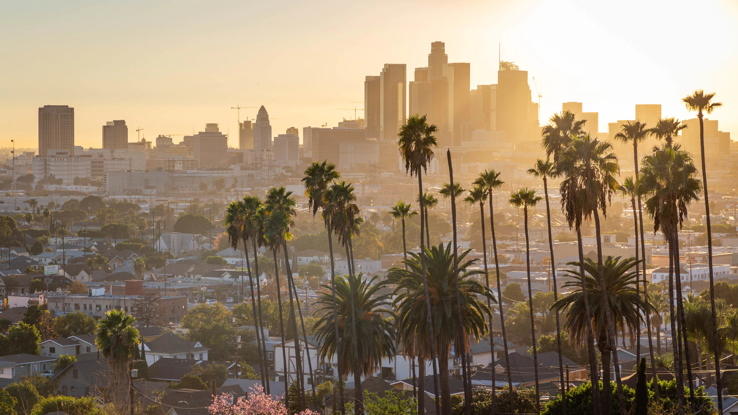 475457-Los-Angeles.webp