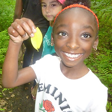 Discovering nature at school program