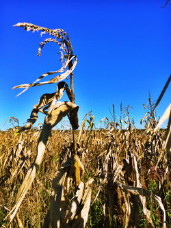 Rural Pennsylvania