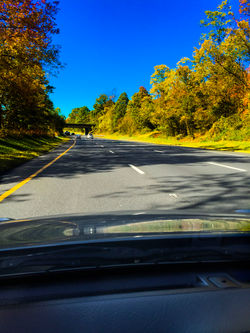 Route 287