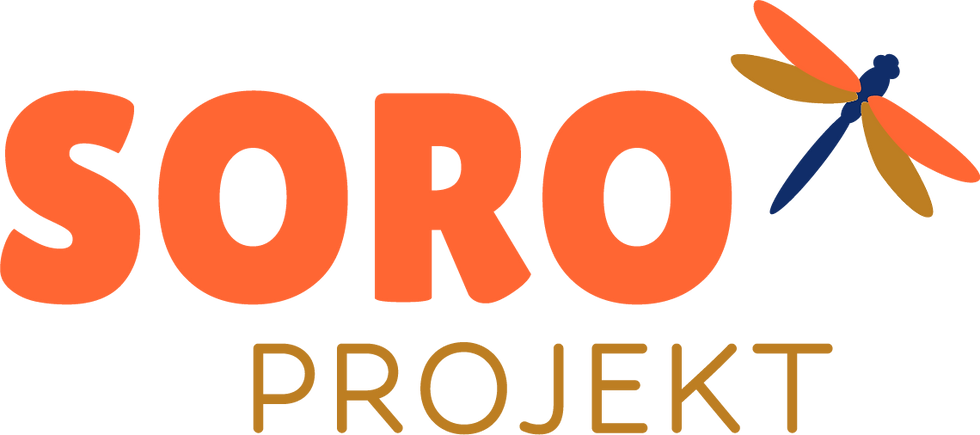 Soro Projekt Wiesloch