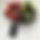 Thumbnail: Tropicana Set-of-3