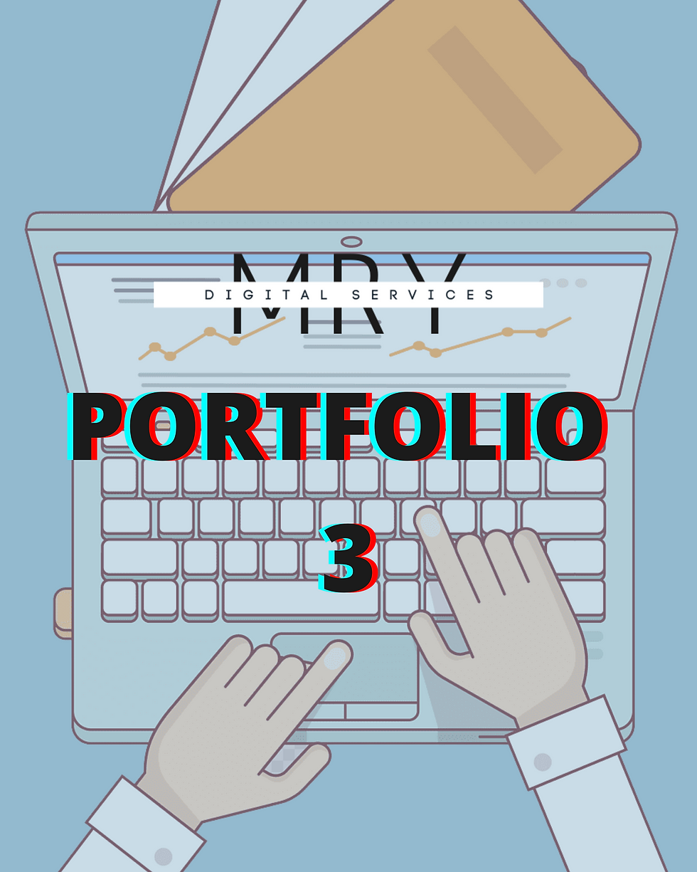 Portfolio 3