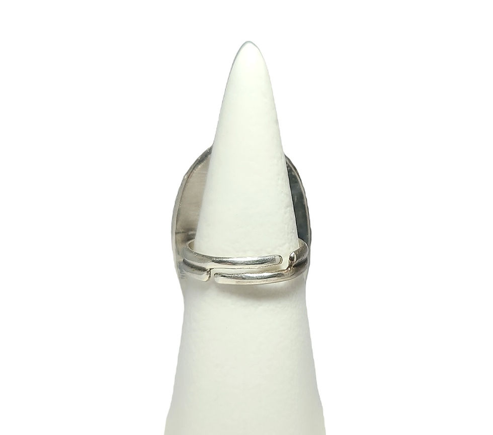 Thumbnail: Wild Horse Adjustable Ring