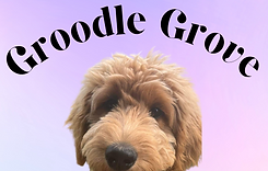 Boutique Groodle Breeders.png