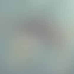 December Newsletter 2025