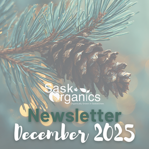December Newsletter 2025