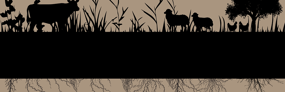 Annual General Meeting Website Page Header.png