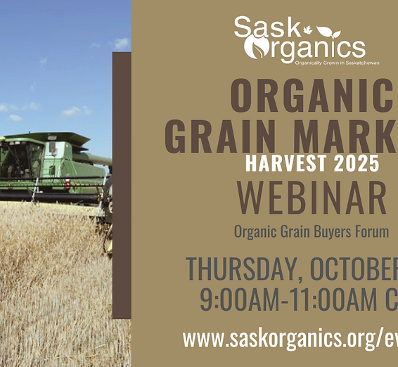 Webinar