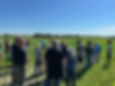 20250709_OrganicField&FacilityTour,Manor-Lentil & Oat Intercrop