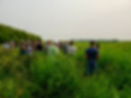 20250731_LakeCountryOrganicFieldDay-4010Peas&Alfalfa