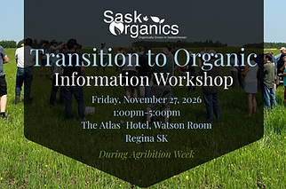 In-person workshop