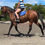 Thumbnail: Brahan Lady Loch