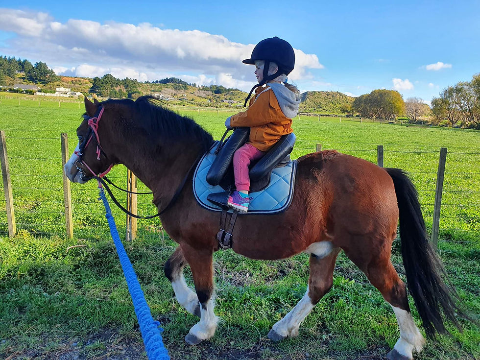 Nanteos Autumn Hosta