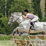 horses_button_logo_jpg