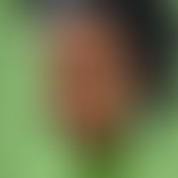 How to Utilize Social Media to Grow Your Client Base