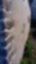 95136667_557097141611159_667592036686862