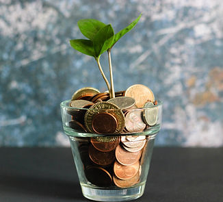 green plant in clear glass vase_edited.jpg