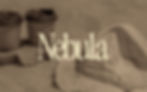 Logo Take Away Coffee Nebula Cold Brew Coffee
