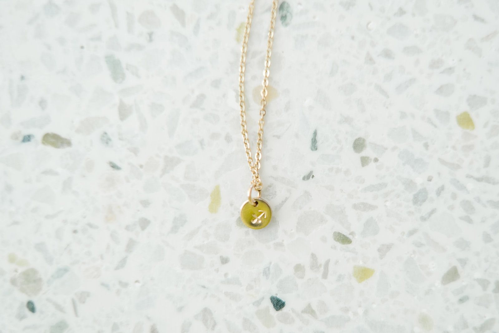 Mini Horoscope Disk Necklace